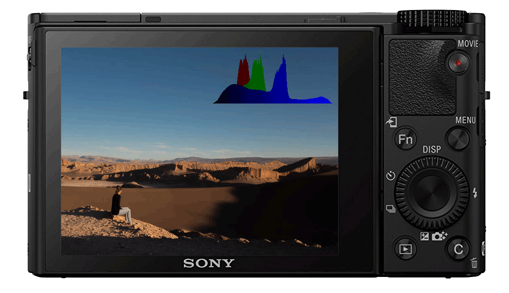 RX100 Histogram