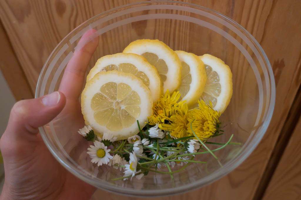 Gänseblümchen Sirup selbst machen - Rezept I