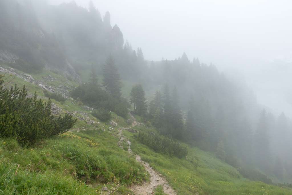 Wanderung Steig Latschenkopf