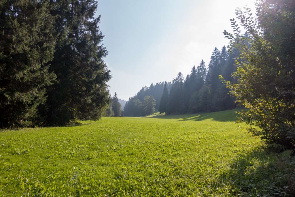 Abendstimmung im Allgäu