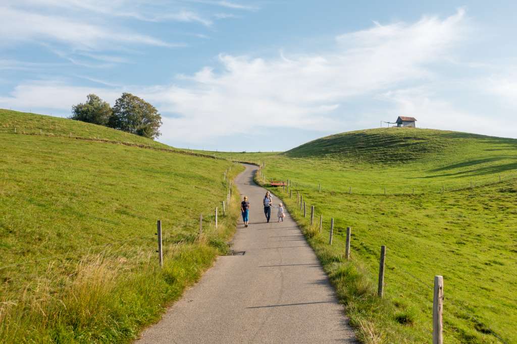 Sanfte Hügel im Allgäu Scheidegg