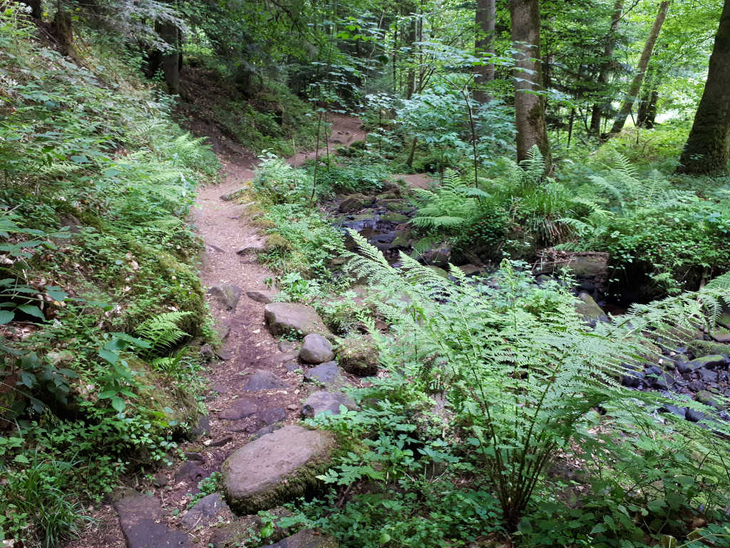 Wandern Schweinbachtal