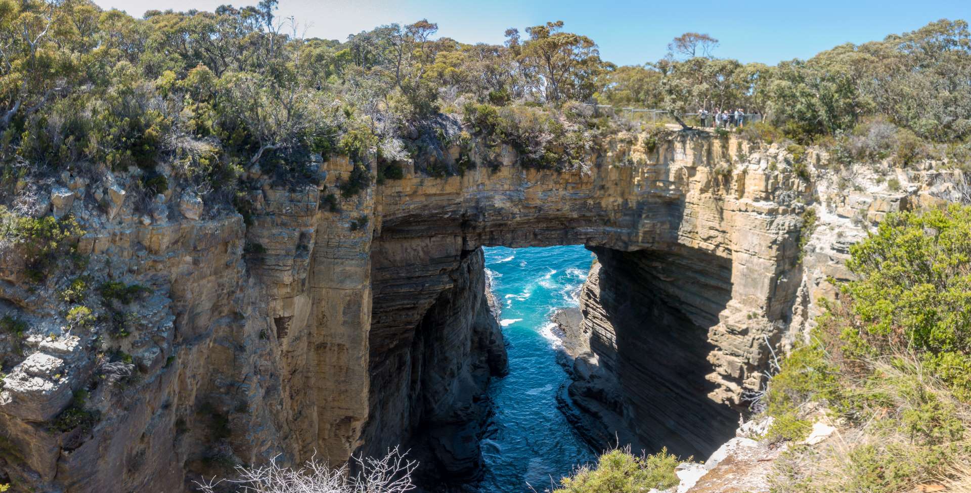 Tasmanien Sehenswürdigkeiten Diese Highlights darfst du nicht verpassen