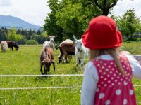 Unsere Ziegenwanderung mit Kindern im Chiemgau: Ein tierisches Abenteuer für die ganze Familie.