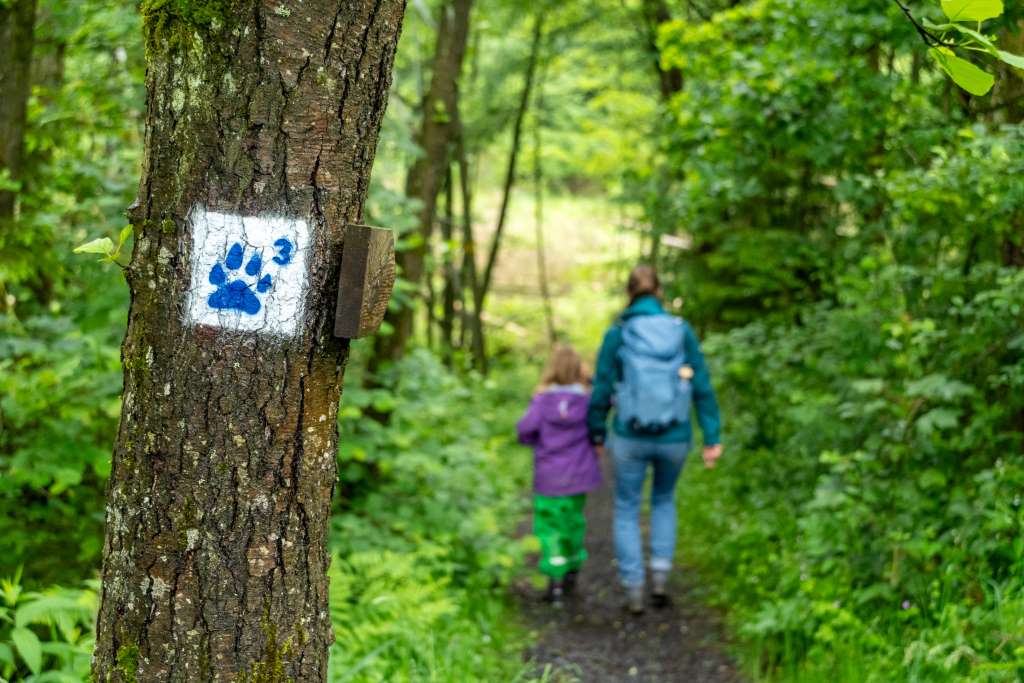 Ausflugsziele im Westerwald für Familien Löwenspur 3