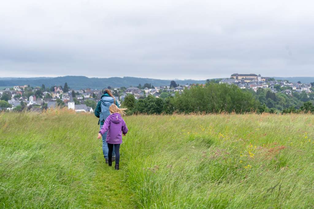 Spazierwanderweg Hachenburg Kleiner Wäller Löwenspur 3