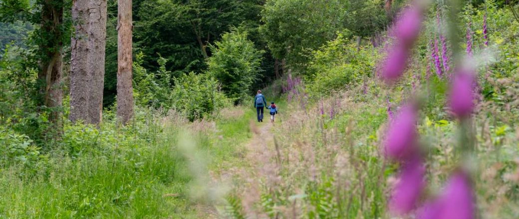 Urlaub im Hachenburger Westerwald und Bad Marienberg: 9 Ausflugsziele im Westerwald für Familien