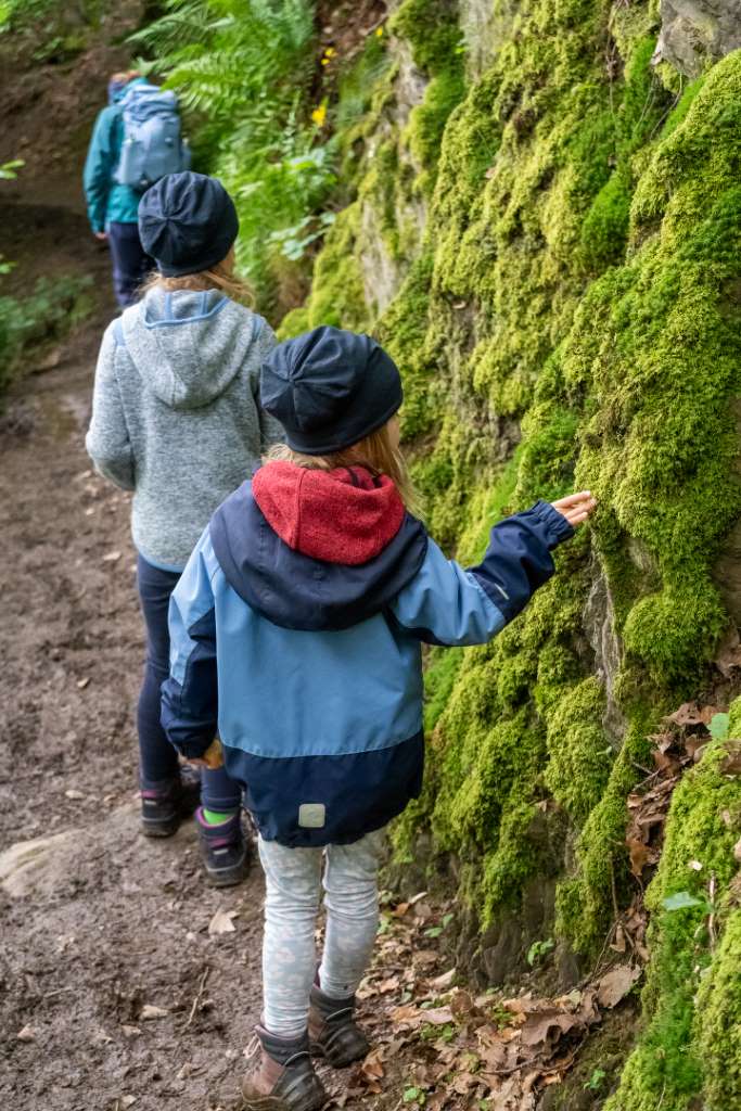 Wandern mit Kindern im Hachenburger Westerwald