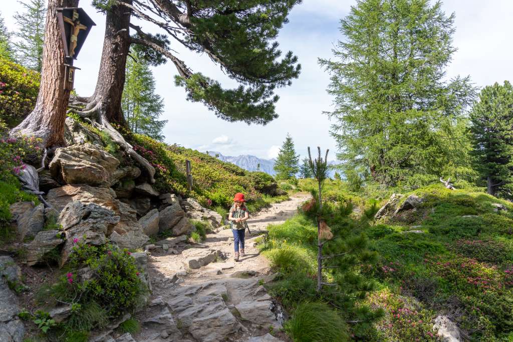 Wandern mit Kindern Tuxer Alpen