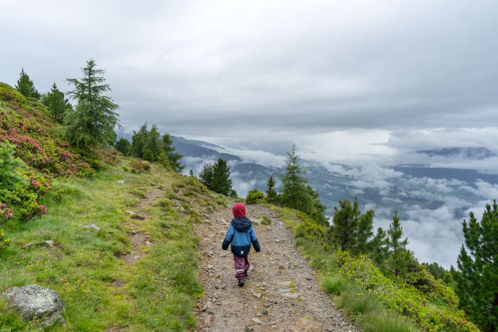 Zirbenweg bei Regen