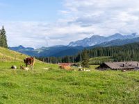 Reit im Winkl für Familien: Ein Sommer-Wochenende in den Chiemgauer Alpen