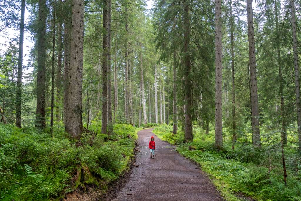 Wanderung Winkelmoos-Alm für Familien