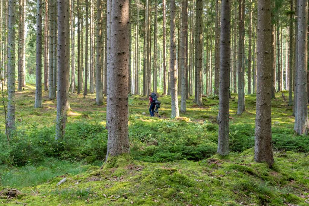 Trekking in Schweden