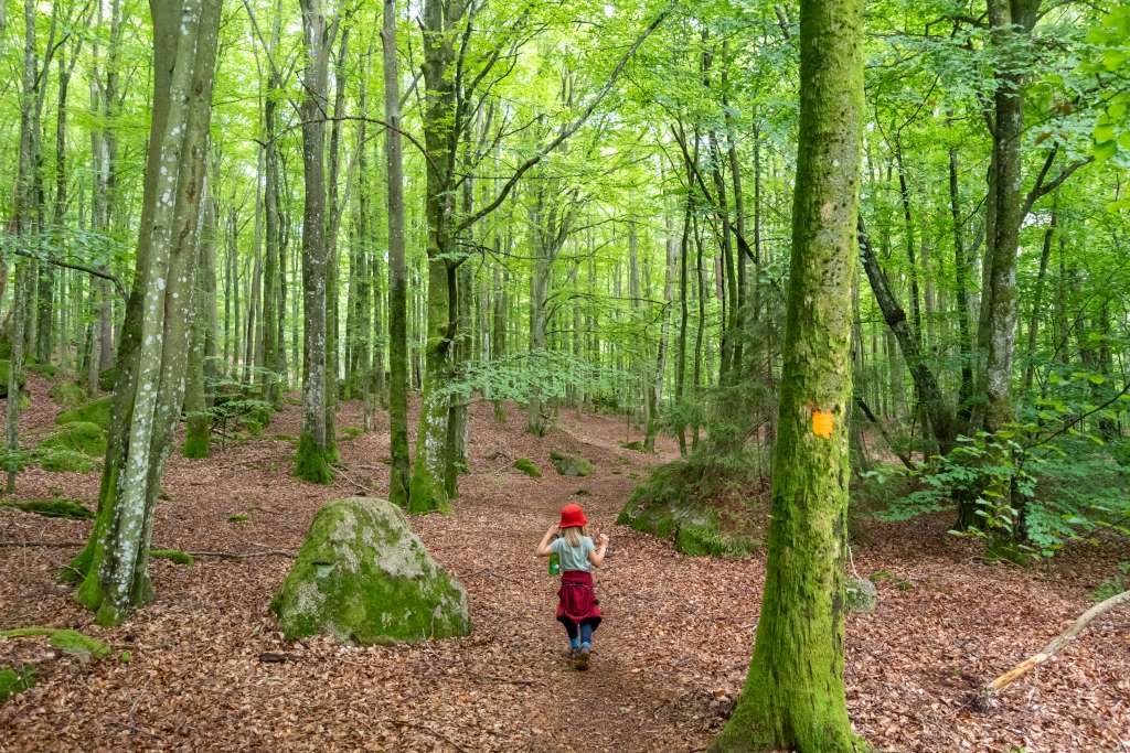 Trekking mit Kindern in Südschweden