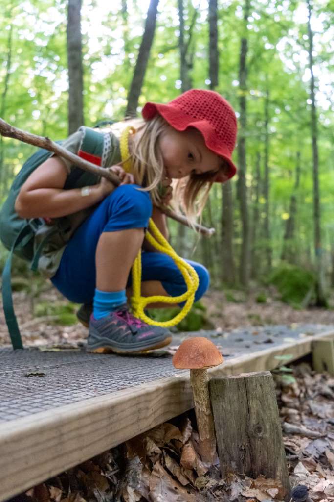 Wandern in Schweden mit Kindern