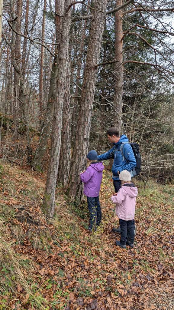 Familienwanderung Hartsee Chiemgau Winter