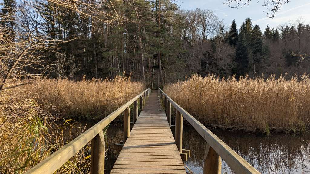 Naturschutzgebiet Eggstätt-Hemhofer Seenplatte