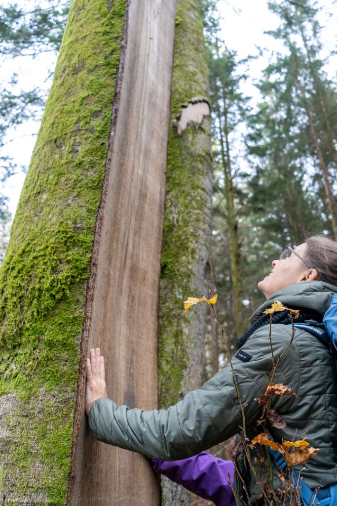 Unterwegs im Chiemgau Wandertipp