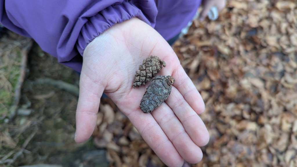 Wandern mit Kindern