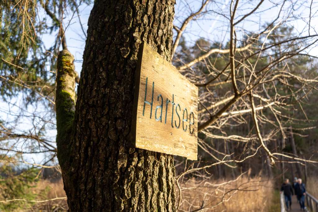 Wanderung um den Hartsee im November